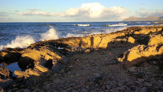 Finca Publica de Son Real