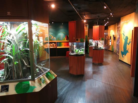 Centro Natural Punta Culebra