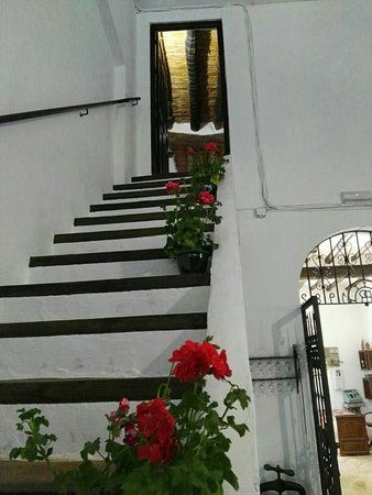 Museo Bodega El Alfoli