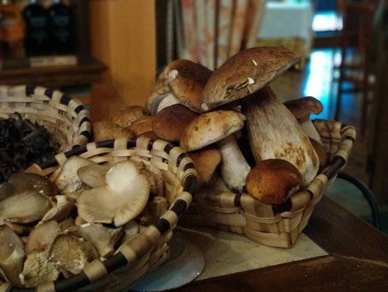 Prada a Tope Treceno