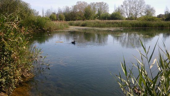 el Aula Natura Marjal de Gandia