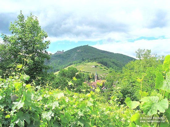 Castillo del Haut-Ribeaupierre