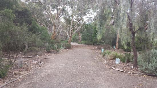 Nangawooka Flora Reserve