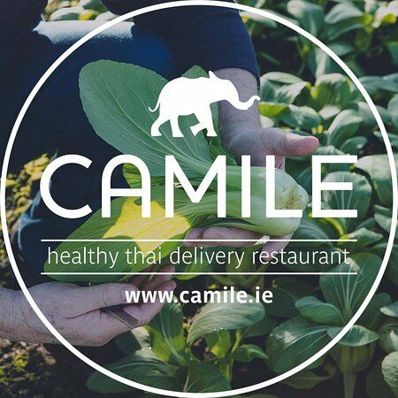 Camile Thai Limerick