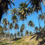 Padaria E Confeitaria Popular